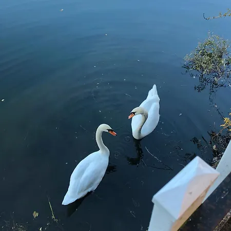 Сasa de vacaciones Le Bord D'eau